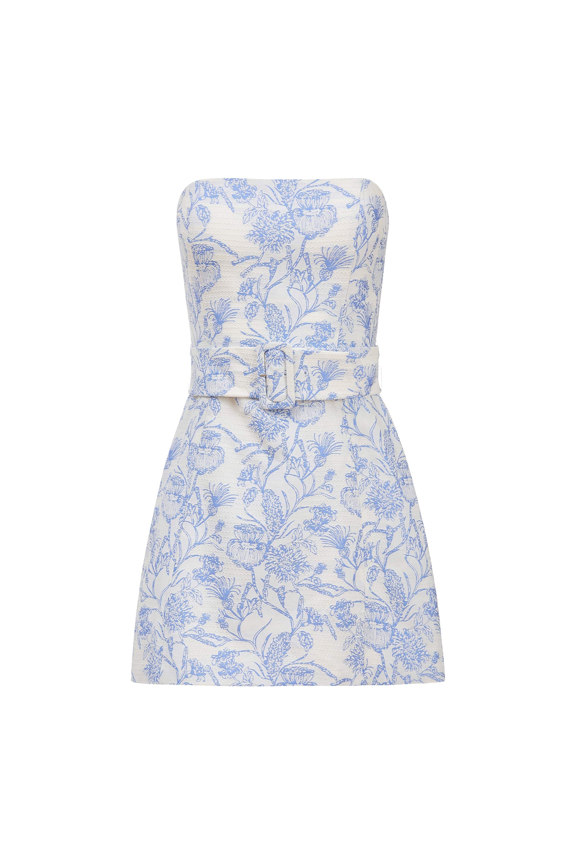 Fae Dress in Toile Brocade