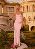 Emory Corset Maxi Dress - Pink